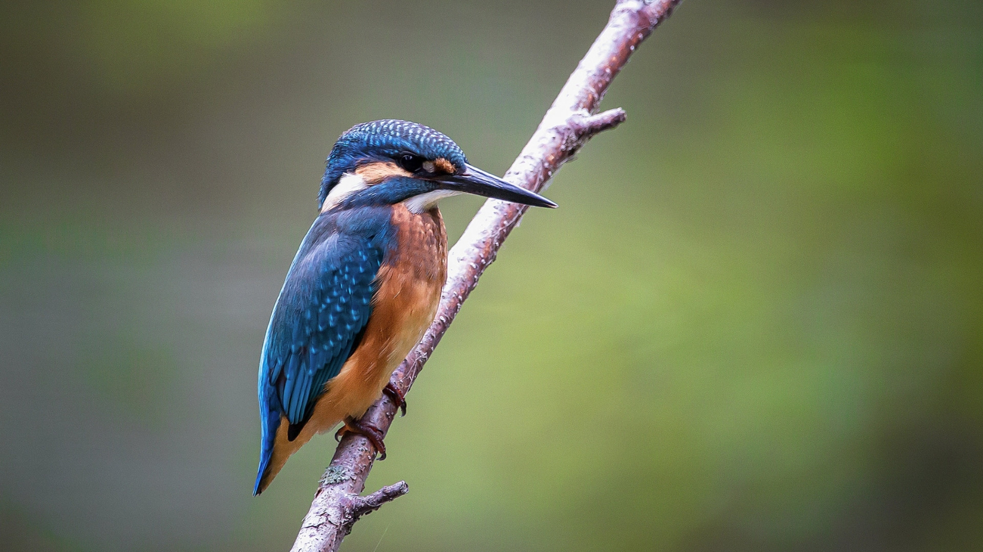 Learn to see nature through a new lens in this interactive mobile photography session, where guests explore creative ways to document the beauty of the rainforest within the resort.